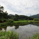 물나들이 이미지