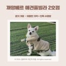 까망베르2호점 | 경기 가평/애견동반 - 까망베르 애견풀빌라 2호점 저렴한 가격과 단독 수영장 내돈내산