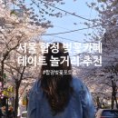 홍대전철역 5번출구 | 서울 합정 데이트 합정역 5번 출구 놀거리 벚꽃길! 너무 예뻐~ 너구리베이글 카페 버터떡