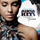 Alicia Keys - The Element Of Freedom 이미지