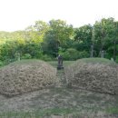 전주 이씨 영해군파 묘역 이미지