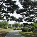 합덕전통시장 이미지