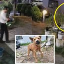 남성식당 이미지