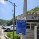 파주 가볼만한 곳 :: 감악산 출렁다리 주차 등산코스 법륜사 후기