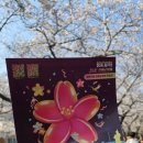 웅남로-1 이미지