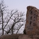 칠곡보 오토캠핑장 이미지