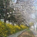 고양대로 이미지