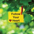 Follow your heart 에 놀아니지 말고 하나님 뜻에 따르라 이미지