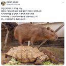 이목구비는 대부분의 시간을 제멋대로 존재하다가