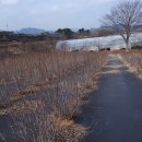 해피베리스터디