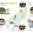 웰니스 이미지
