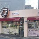 스텔라영