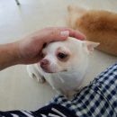 호텔욜로 이미지