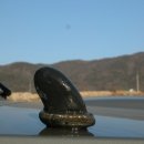 솔미마을 Daum카페