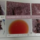 건창인쇄