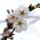 복흥 버스정류장 이미지