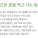 충의태권도 이미지