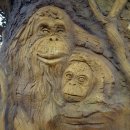 대교어린이공원 이미지