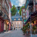 STAY PET SHOP 이미지