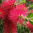 노을과포도향기 이미지