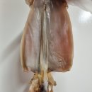 미듬수산 | 반건조오징어 마른오징어 택배 편하게 에어프라이어 버터구이 후기 (w. 미듬수산)