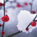 경인2목장 네이버블로그
