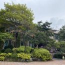 풀꽃세상채식뷔페 이미지