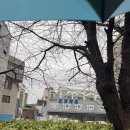 일양빌딩 이미지