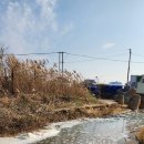 포항 에코프로 생태독성기준 초과 염 폐수 방류 또 연장 이미지