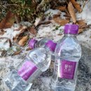 세종로2L 네이버블로그