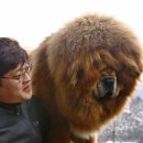 짱오농장 이미지