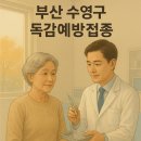 부산 수영구 독감 백신 종류 (4가/3가) 및 접종 병원 안내