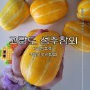 잇푸룻