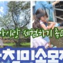 대평 목장 이미지