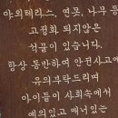 보성춘 이미지