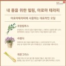 도테라호수공원