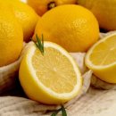 레몬 이미지
