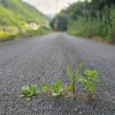 시나몬펜션 이미지