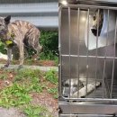 성남 공영주차장 이미지