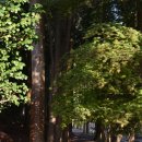 다원농장 이미지