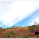 대기초등학교 이미지