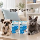 정동물병원(수정소) | 알파-카소제핀 질켄플러스, 반려동물 스트레스 케어 영양제