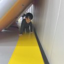 용인대 지노태권도 이미지