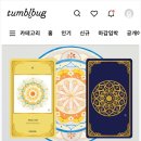 한국타로심리상담협회 네이버블로그