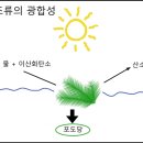 조류와 우리는 공동운명체 이미지