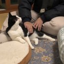 마쉬리 | 21년 11월 2째주-1