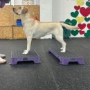 달콤체육관 이미지