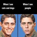 최창열 | 어어 하이