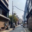 그로우펫 | 주안강아지미용 포메라니안얼굴컷 그로우펫 인천애견유치원