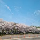 백점크린 네이버블로그